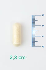 V-Probiotics with Enzymes - Enzimli Probiyotik - Glutensiz 30 Kapsül - 10 milyar KOB - Probiyotikler ve Sindirim Enzimleri Beraber