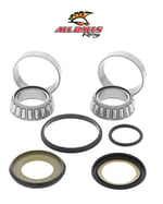 ABR GİDON RULMAN TAKIMI / ALL BALLS RACING / BETA / RR 2T ENDURO / RACING / 300cc