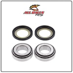 ABR GİDON RULMAN TAKIMI / ALL BALLS RACING / HARLEY D. / DYNA STREET BOB (FXDB) / 1584cc