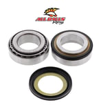 ABR GİDON RULMAN TAKIMI / ALL BALLS RACING / YAMAHA / FZ1 / FAZER / 1000cc