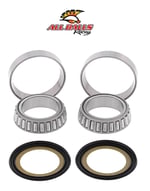 ABR GİDON RULMAN TAKIMI / CF MOTO / CLX SPORT / 700cc / 2022-2023-2024
