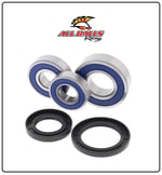 ABR TEKERLEK RULMAN TAKIMI / ALL BALLS RACING / ARKA / YAMAHA / YZF R7 / 700cc