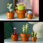 ADO-LAD10329 TINY PLANTS 4