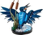 ADO-LAD10331 KINGFISHER BIRD 4
