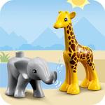 ADO-LED10971 W ANIMALS OF AFRICA 4