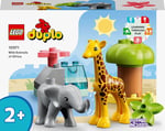 ADO-LED10971 W ANIMALS OF AFRICA 4