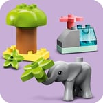 ADO-LED10971 W ANIMALS OF AFRICA 4