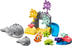 ADO-LED10972 W ANIMALS OF THE OCEAN 4