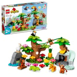 ADO-LED10973 ANIMALS OF S AMERICA 2