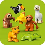 ADO-LED10973 ANIMALS OF S AMERICA 2