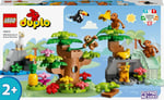 ADO-LED10973 ANIMALS OF S AMERICA 2