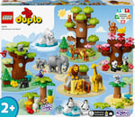 ADO-LED10975 W ANIMALS OF THE WORLD 2
