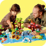 ADO-LED10975 W ANIMALS OF THE WORLD 2