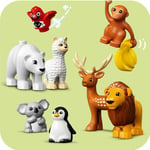 ADO-LED10975 W ANIMALS OF THE WORLD 2