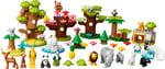 ADO-LED10975 W ANIMALS OF THE WORLD 2