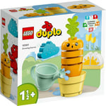 ADO-LED10981 GROWING CARROT 4