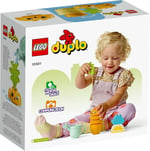ADO-LED10981 GROWING CARROT 4