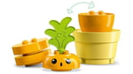 ADO-LED10981 GROWING CARROT 4