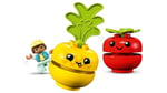ADO-LED10982 FRUIT VEGETABLE TRACTOR 4