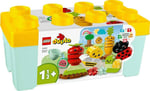 ADO-LED10984 ORGANIC GARDEN 2