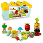 ADO-LED10984 ORGANIC GARDEN 2
