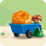 ADO-LED10993 3IN1 TREE HOUSE 3