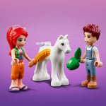 ADO-LGF41696 PONY WASHING STABLE 4