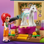 ADO-LGF41696 PONY WASHING STABLE 4