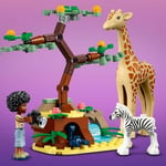 ADO-LGF41717 MIAS WILDLIFE RESCUE 3