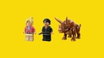 ADO-LJW76959 FWN TRICERATOPS RESEARCH 5