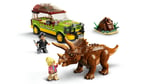 ADO-LJW76959 FWN TRICERATOPS RESEARCH 5