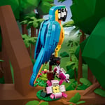 ADO-LMC31136 EXOTIC PARROT 6