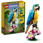ADO-LMC31136 EXOTIC PARROT 6