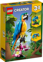 ADO-LMC31136 EXOTIC PARROT 6