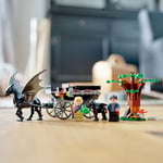 ADO-LSH76400 CARRIAGE AND THESTRAIS 4