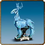 ADO-LSH76414 EXPECTO PATRONUM 3