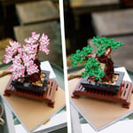 ADOL-LAD10281 BONSAI TREE 6