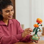 ADOL-LAD10368 CHRYSANTHEMUM 6