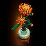 ADOL-LAD10368 CHRYSANTHEMUM 6