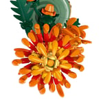 ADOL-LAD10368 CHRYSANTHEMUM 6