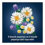 ADOL-LAD11508 PAPATYA 4