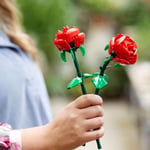 ADOL-LFL40460 ROSES 4