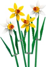 ADOL-LFL40747 DAFFODILS 4