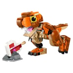 ADOL-LJW76967 LITTLE EATIE REX 6