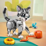 ADOL-LMC31163 OYUNBAZ KEDI  6
