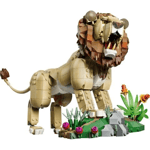 ADOL-LMC31386ADOL-LMC31386 GORKEMLI ASLAN 4
