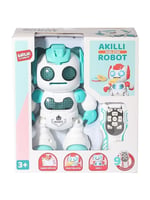BIR-606-30 U/K PROG.DISK ATAN AKKILI ROBOT 18