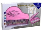 CAN-918-1 KUTULU PIANO 24
