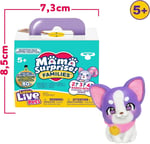 GPH-LP305000-26658 LLP MSF SURPRIZ PATILER 18