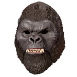 GPH-MN306000-35669 GXK SESLI MASKE 3